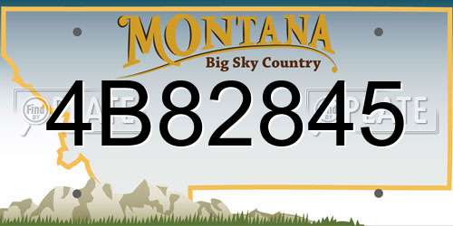 4B82845 Montana License Plate