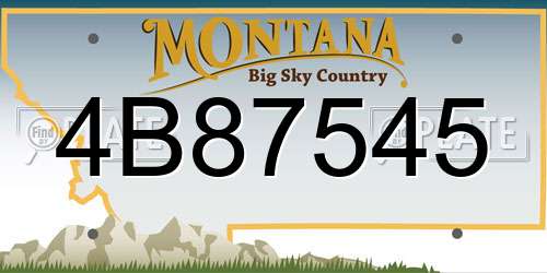 4B87545 Montana License Plate