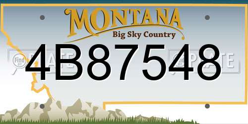 4B87548 Montana License Plate