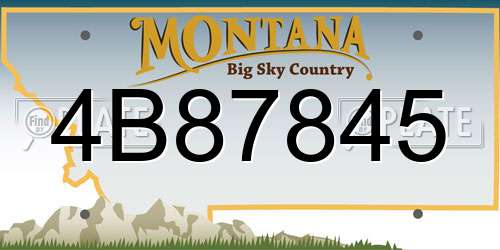 4B87845 Montana License Plate