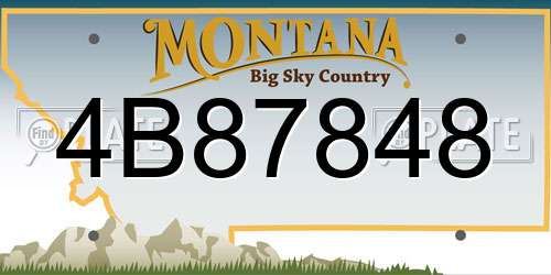 4B87848 Montana License Plate