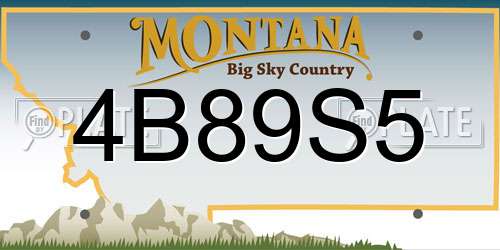 4B89S5 Montana License Plate