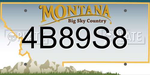 4B89S8 Montana License Plate