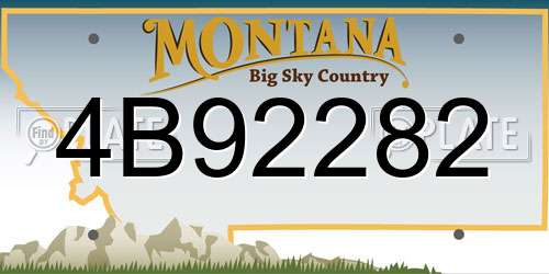 4B92282 Montana License Plate