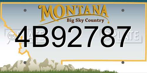 4B92787 Montana License Plate