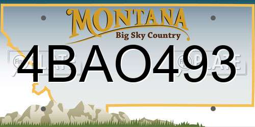 4BAO493 Montana License Plate