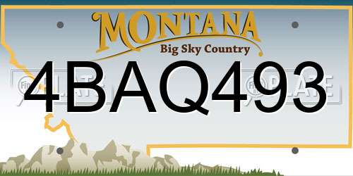 4BAQ493 Montana License Plate