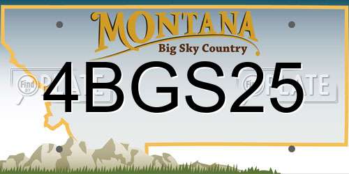 4BGS25 Montana License Plate