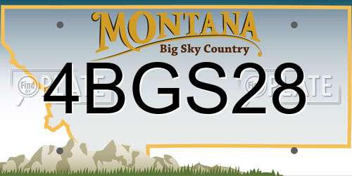 4BGS28 Montana License Plate