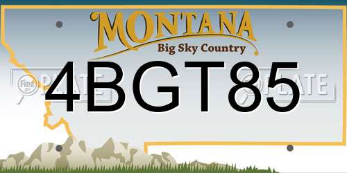 4BGT85 Montana License Plate