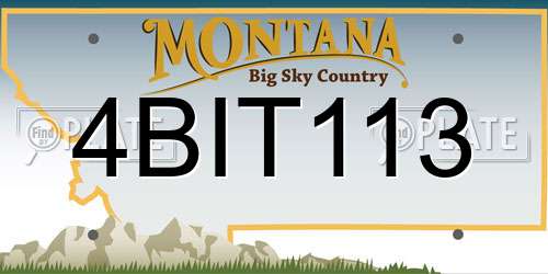 4BIT113 Montana License Plate