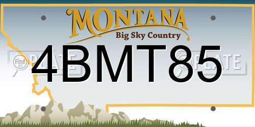 4BMT85 Montana License Plate