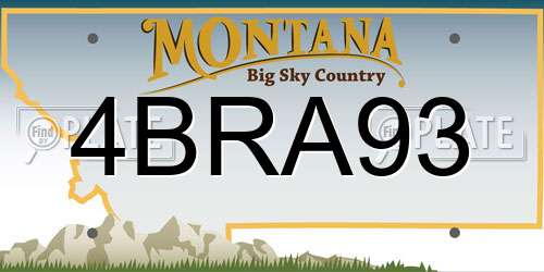 4BRA93 Montana License Plate