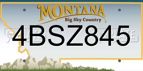 4BSZ845 Montana License Plate