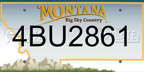 4BU2861 Montana License Plate