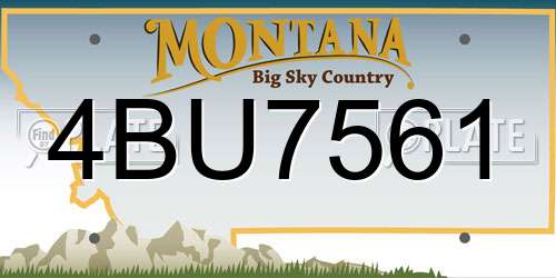 4BU7561 Montana License Plate