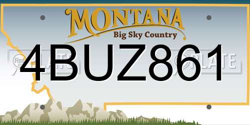 4BUZ861 Montana License Plate