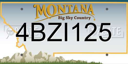 4BZI125 Montana License Plate