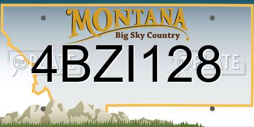 4BZI128 Montana License Plate