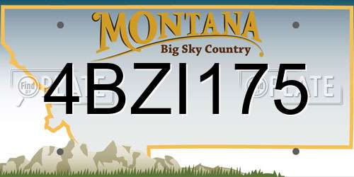 4BZI175 Montana License Plate