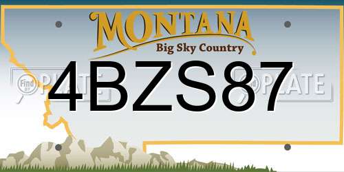 4BZS87 Montana License Plate