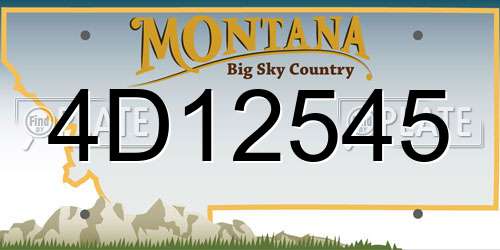 4D12545 Montana License Plate