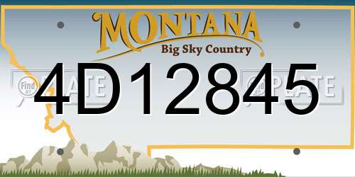 4D12845 Montana License Plate