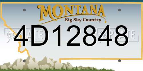 4D12848 Montana License Plate