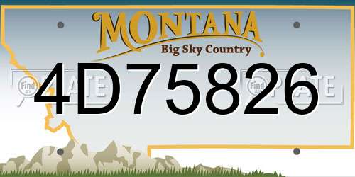 4D75826 Montana License Plate