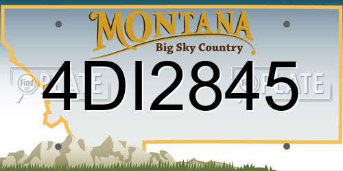 4DI2845 Montana License Plate