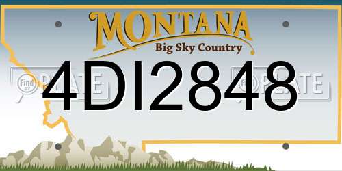 4DI2848 Montana License Plate