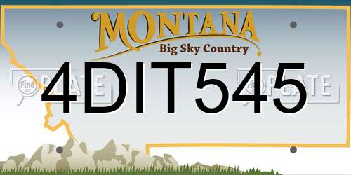 4DIT545 Montana License Plate