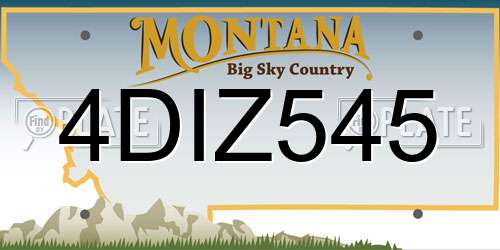 4DIZ545 Montana License Plate