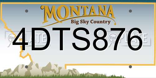 4DTS876 Montana License Plate