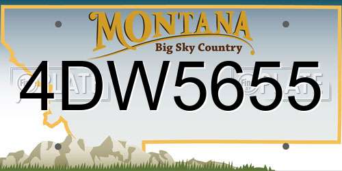 4DW5655 Montana License Plate