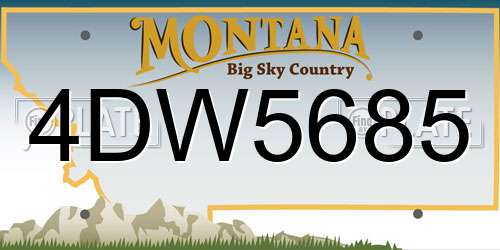 4DW5685 Montana License Plate