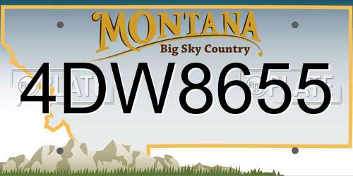 4DW8655 Montana License Plate