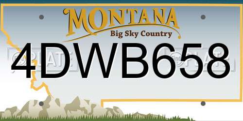 4DWB658 Montana License Plate