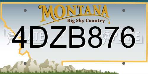 4DZB876 Montana License Plate