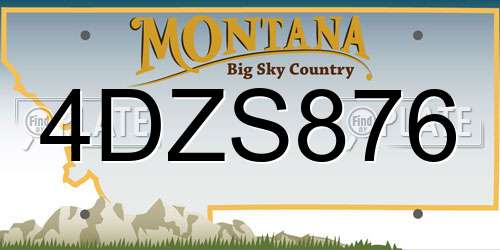 4DZS876 Montana License Plate