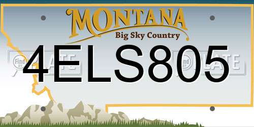 4ELS805 Montana License Plate