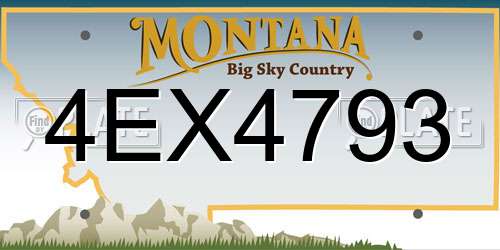 4EX4793 Montana License Plate