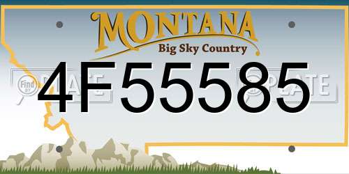 4F55585 Montana License Plate