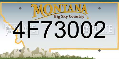 4F73002 Montana License Plate