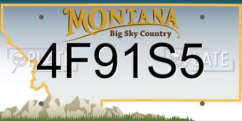 4F91S5 Montana License Plate