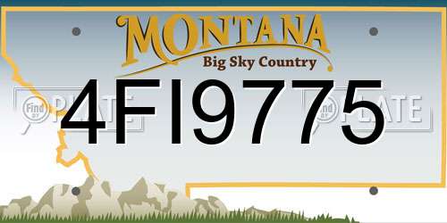 4FI9775 Montana License Plate