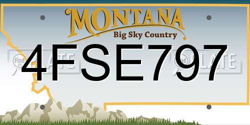 4FSE797 Montana License Plate
