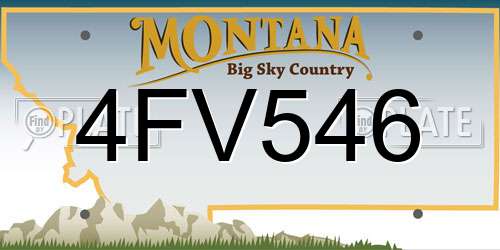 4FV546 Montana License Plate
