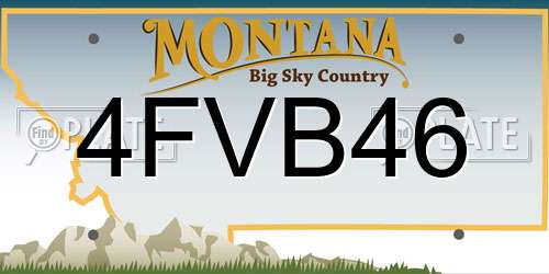 4FVB46 Montana License Plate