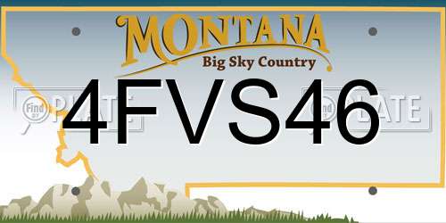 4FVS46 Montana License Plate